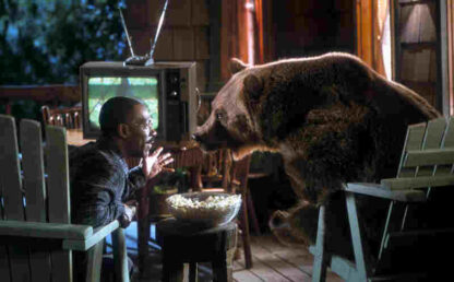 Dr. Dolittle 2 (2001) Starring Eddie Murphy on DVD - Image 4