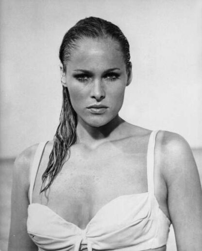 Dr. No (1962) Starring Sean Connery on DVD - Image 2