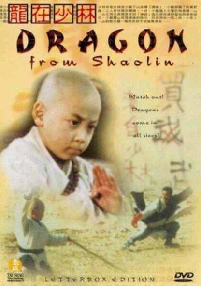 Dragon from Shaolin (1996) with English Subtitles on DVD - Image 4