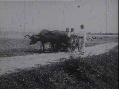 Dragus (1929) with English Subtitles on DVD - Image 5