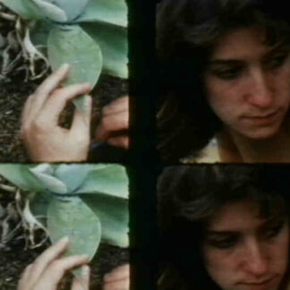 Drawn and Quartered (1987) Starring Lynne Sachs on DVD
