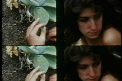 Drawn and Quartered (1987) Starring Lynne Sachs on DVD - Image 2