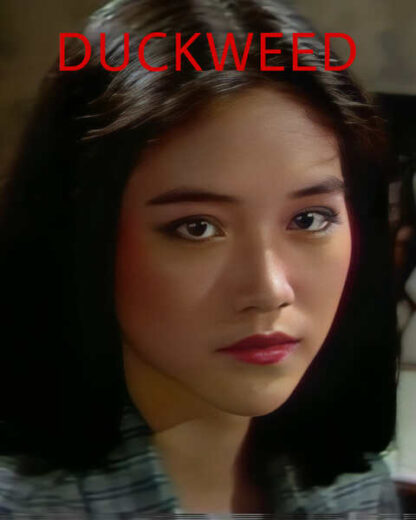 Duckweed (1981) with English Subtitles on DVD - Image 2