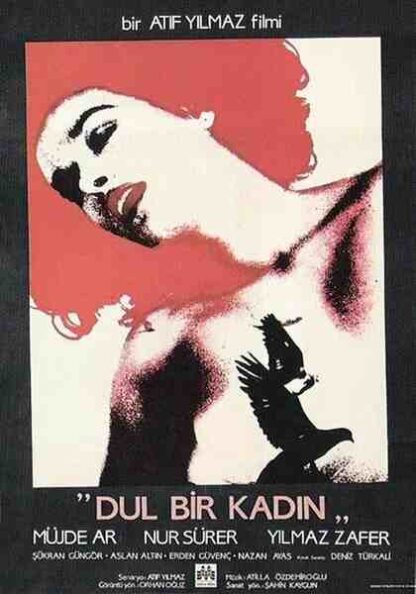 Dul Bir Kadin (1985) with English Subtitles on DVD - Image 5