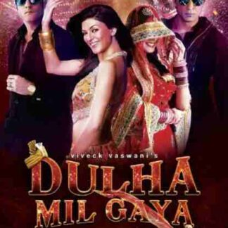 Dulha Mil Gaya (2010) with English Subtitles on DVD