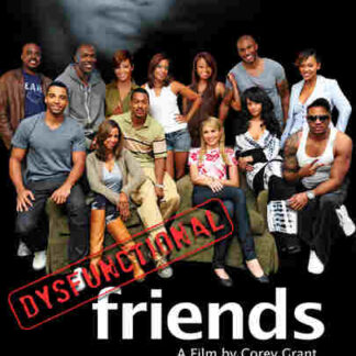 Dysfunctional Friends (2012) Starring Stacey Dash on DVD