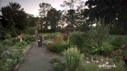 Edge of the Garden (2011) Starring Rob Estes on DVD - Image 2