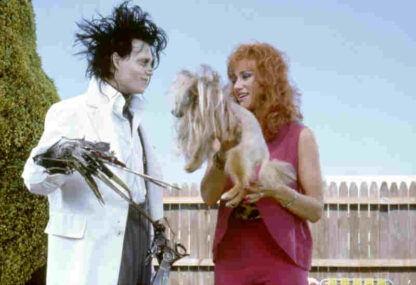 Edward Scissorhands (1990) Starring Johnny Depp on DVD - Image 4