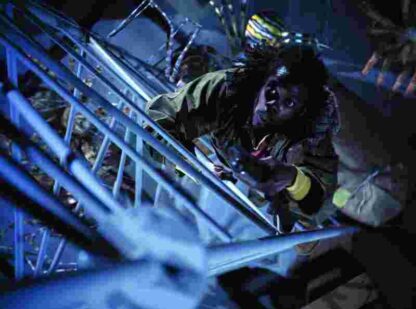 Eight Legged Freaks (2002) Starring David Arquette on DVD - Image 4