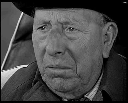 El cochecito (1960) with English Subtitles on DVD
