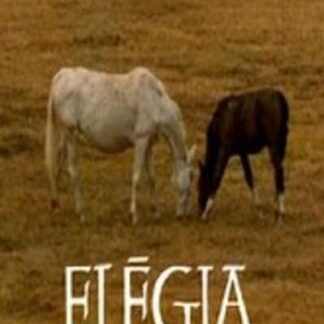 Elégia (1966) with English Subtitles on DVD