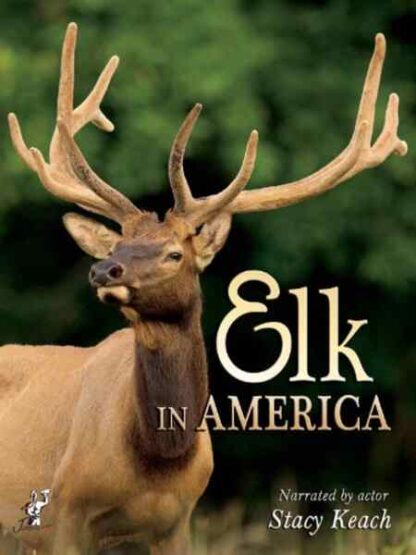 Elk in America (2012) on DVD