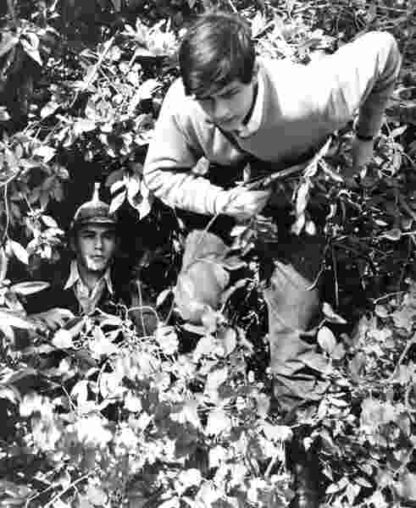 Eroika (1960) with English Subtitles on DVD