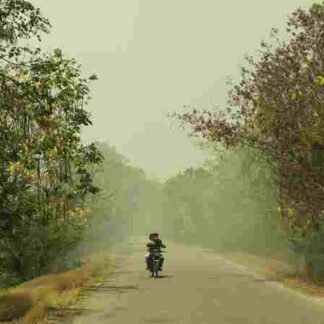 Eternity (2010) with English Subtitles on DVD