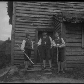 Ett farligt frieri (1919) with English Subtitles on DVD