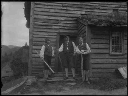 Ett farligt frieri (1919) with English Subtitles on DVD