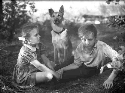 Eva (1948) with English Subtitles on DVD - Image 3