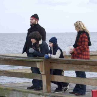 Every Day (2010) Starring Liev Schreiber on DVD
