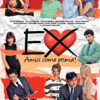 Ex 2: Still Friends? (2011) with English Subtitles on DVD