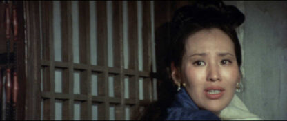 Execution in Autumn (1972) with English Subtitles on DVD - Image 2