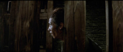 Execution in Autumn (1972) with English Subtitles on DVD - Image 3