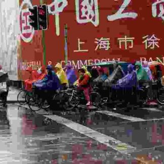 Exile Shanghai (1997) with English Subtitles on DVD