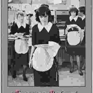Experience Preferred... But Not Essential (1982) Starring Elizabeth Edmonds on DVD