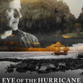 Eye of the Hurricane (2012) Starring Melanie Lynskey on DVD