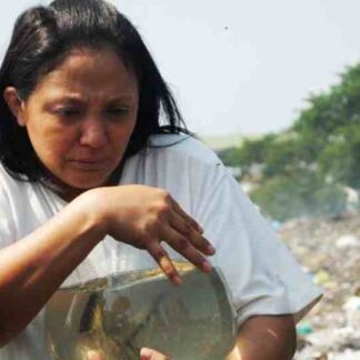 Fable of the Fish (2011) with English Subtitles on DVD