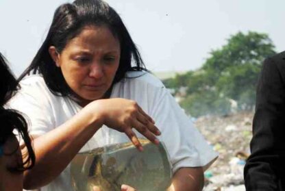 Fable of the Fish (2011) with English Subtitles on DVD