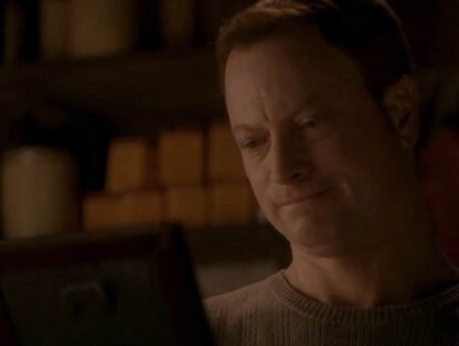 Fallen Angel (2003) Starring Gary Sinise on DVD