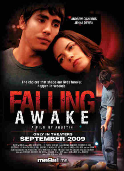 Falling Awake (2009) Starring Jenna Dewan on DVD - Image 2