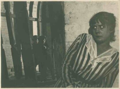 Fången på Karlstens fästning (1916) with English Subtitles on DVD - Image 2