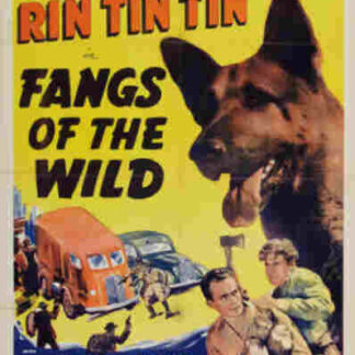 Fangs of the Wild (1939) Starring Rin Tin Tin Jr. on DVD