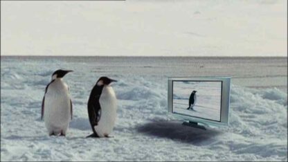 Farce of the Penguins (2006) Starring Samuel L. Jackson on DVD - Image 2
