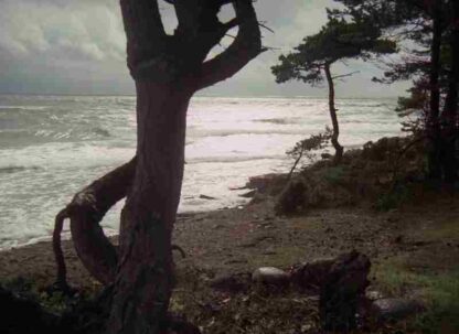 Faro Document (1970) with English Subtitles on DVD - Image 3