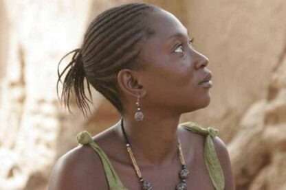Faro, la reine des eaux (2007) with English Subtitles on DVD - Image 2