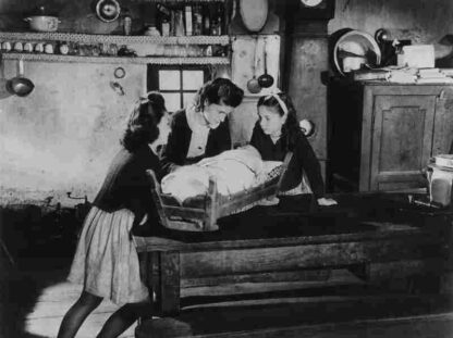 Farrebique (1946) with English Subtitles on DVD