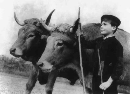 Farrebique (1946) with English Subtitles on DVD - Image 3