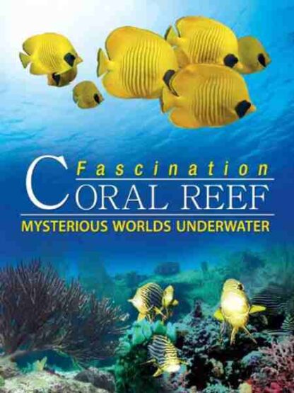 Fascination Coral Reef: Mysterious Worlds Underwater (2012) Starring Colin Solman on DVD - Image 5