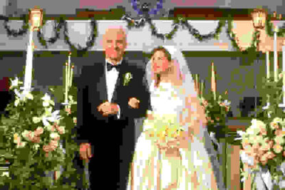 Father of the Bride (1991) Starring Steve Martin on DVD