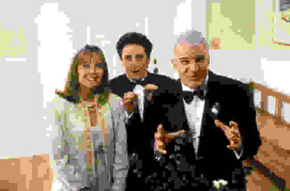 Father of the Bride (1991) Starring Steve Martin on DVD - Image 3