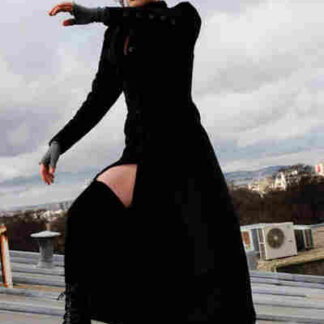 Fay Grim (2006) Starring Parker Posey on DVD