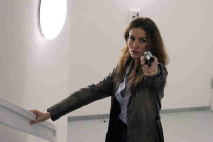 Fay Grim (2006) Starring Parker Posey on DVD - Image 3