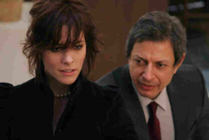 Fay Grim (2006) Starring Parker Posey on DVD - Image 4