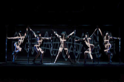 Feu: Crazy Horse Paris (2012) Starring Lumina Classika on DVD - Image 4