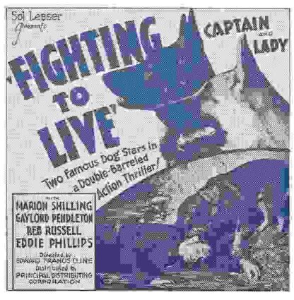 Fighting to Live (1934) Starring Marion Shilling on DVD