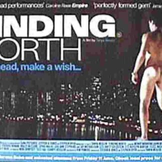 Finding North (1998) Starring Wendy Makkena on DVD