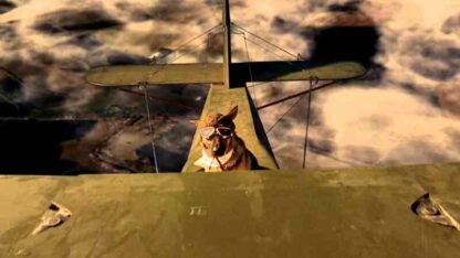 Finding Rin Tin Tin (2007) Starring Tyler Jensen on DVD - Image 3