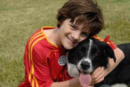 Finn on the Fly (2008) Starring Ana Gasteyer on DVD - Image 4